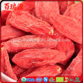 Goji organique de goji bacche de goji usine de baies de goji à Ningxia